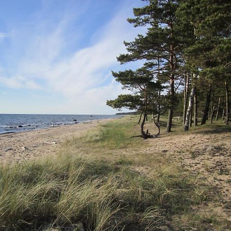 Tahkuna Forest House Kõrgessaare Екстериор снимка