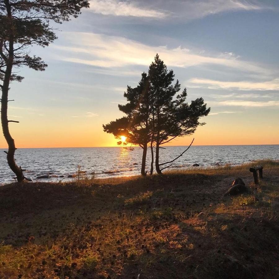 Tahkuna Forest House Kõrgessaare Екстериор снимка